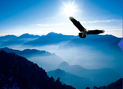 银娱优厚会717(中国)股份有限公司