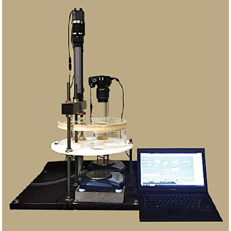 银娱优厚会717(中国)股份有限公司