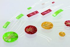 银娱优厚会717(中国)股份有限公司